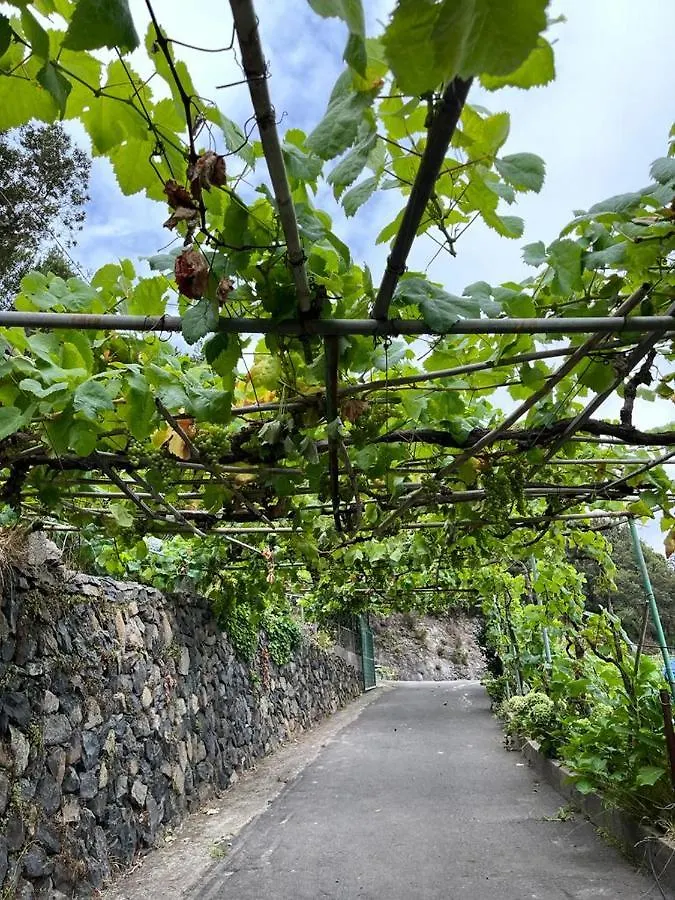 Casa Rural Quilla Agulo
